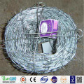 Galvanized Steel Coiled Barbed Wire