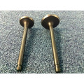 Racing Car Inlet and Outlet Engine Valve