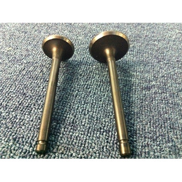 Racing Car Inlet and Outlet Engine Valve