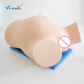 Childbirth Teaching Model Electric Medical Instrument