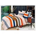 Cotton Pigment Printed Bedsheet Set /Duvet Cover Set