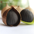 Popular black garlic by masses of people