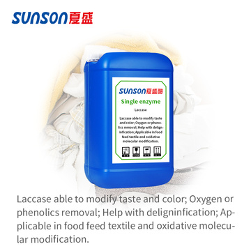 Food additive laccase enzyme for phenolics polymerization