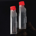 Cell culture flask, T-25, surface