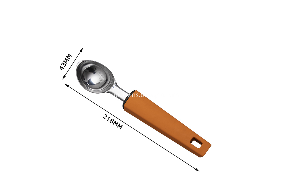 Stainless Steel Spoon