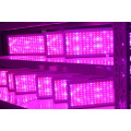 Alto PPFD Alumínio Indoor Estufa LED Grow Light