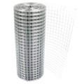 Supply High Quality Galvanized Wire Mesh