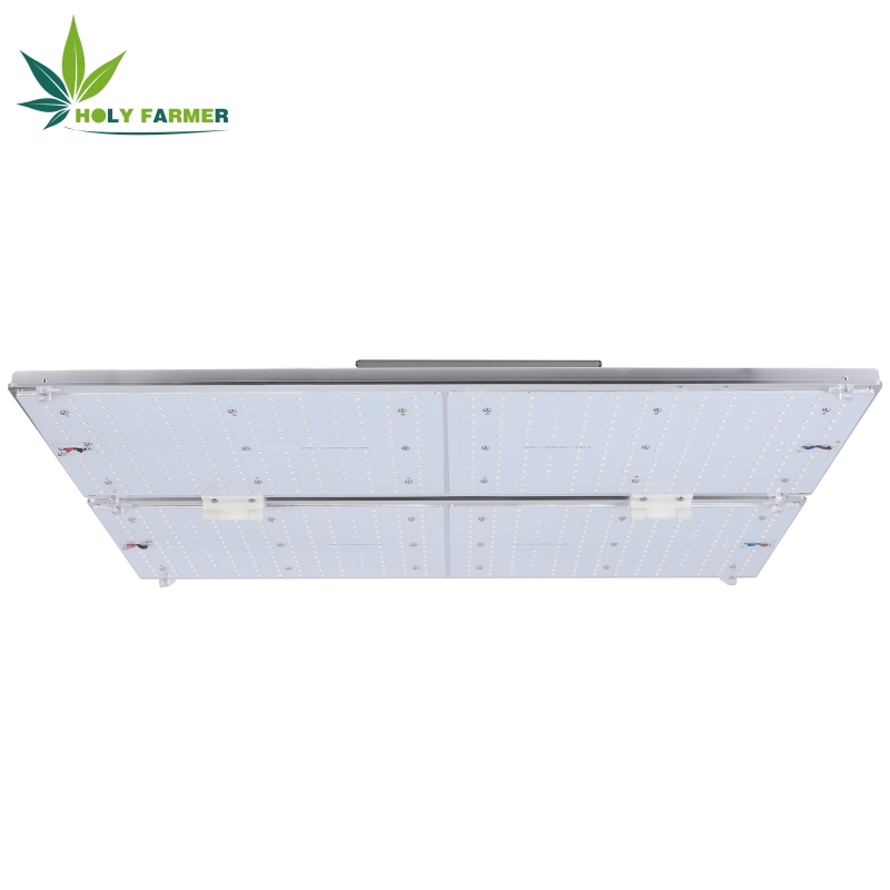 400wledgrowlight2