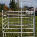 galvanized fixed knot livestock fencing sheep fence