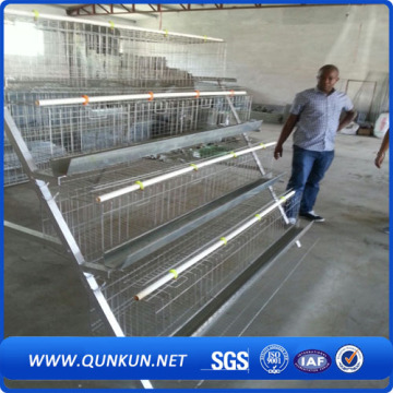 De boa qualidade Chicken Cage in Anping