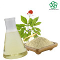 Natural Ginseng Extract Ginsenosid für die Gesundheitsversorgung