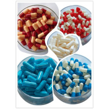 Best Hard Gelatin Capsule Capsule From Us