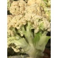 hot sale natural dehydrated white cauliflower