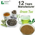 green tea extract Polyphenols EGCG