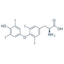 L-Thyroxin 51-48-9