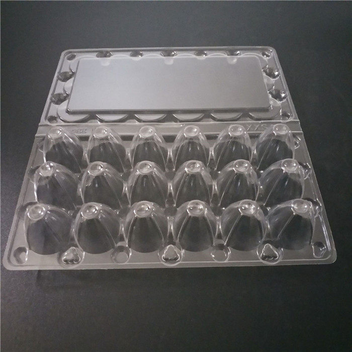 Coturnix Quail Eggs Packaging Container