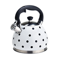 Hot selling food grade stainless steel water kettle