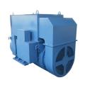 Low Voltage Electric Power IP55 Generator