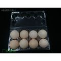 Egg Packing Box Manufacturer (food tray)