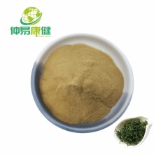 Gynostemma Plant Extract Gypenoside 80% 98%