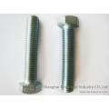 Galvanized Hex Cap Screw Manufacturer