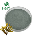 wholesale Top seaweed extract powder