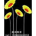 Simulación de luces de césped de girasol