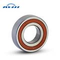 Chinese electric motor bearings and bearing motor