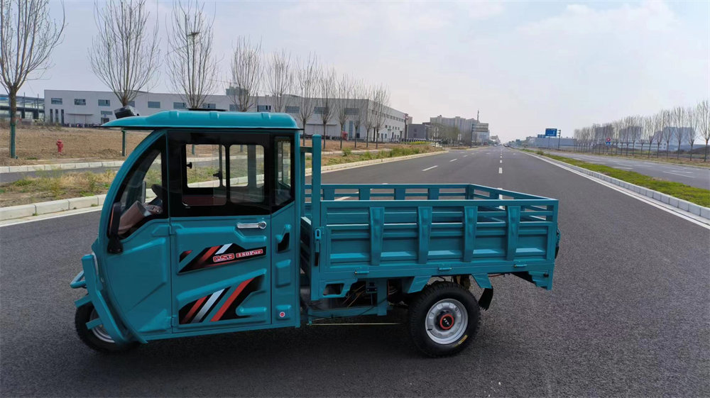 Tricycle With Separate Passenger And Cargo Tricycle With Separate Passenger And Cargo