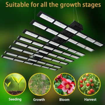 Indoor Vertical Farming Led wachsen Licht 640 Watt