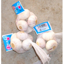 Mesh Packing Normaler weißer Knoblauch (5.0CM UP)