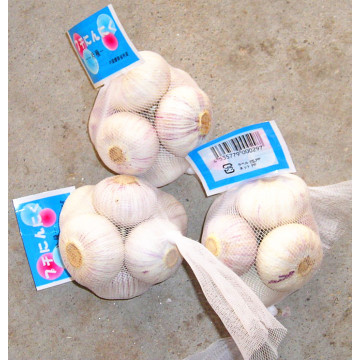 Mesh Packing Normal White Garlic (5.0CM UP)