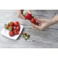 Strawberry Huller Tomato Corer Stem Remover