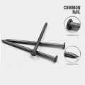 Professioneller Preis von Common Iron Nail aus China