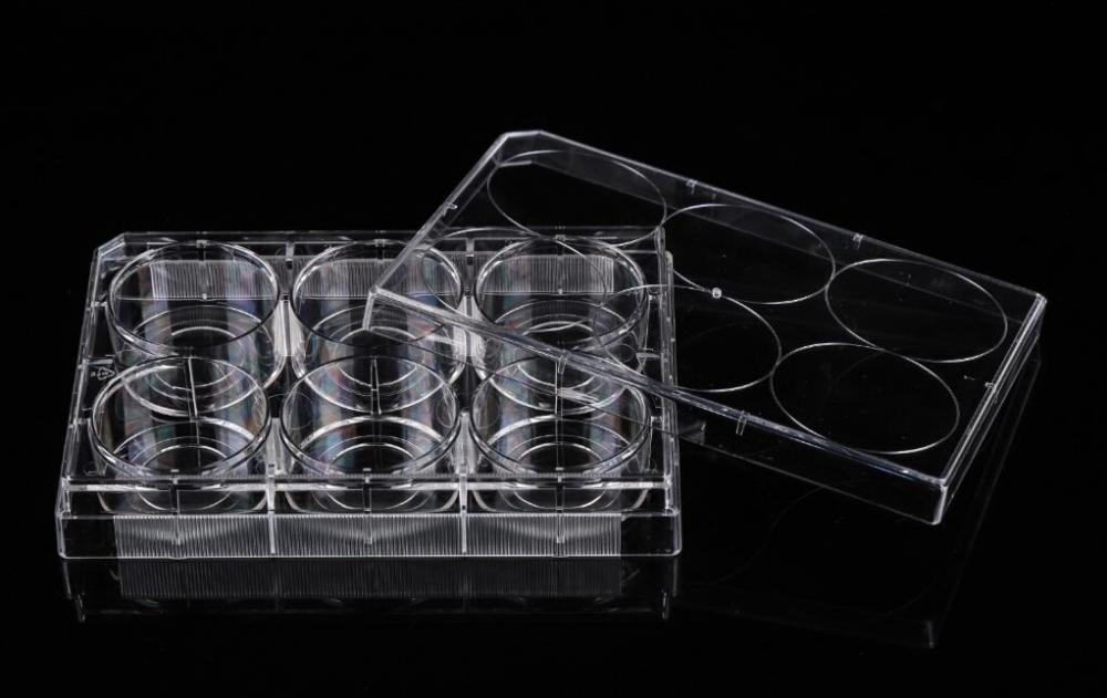 Glass Bottom Plate Glass Bottom Plate