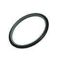 Rs tipo ptfe pistão haste vedação o-ring