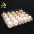 Transparent Plastic Henapple Chicken Egg Tray