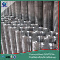 galvanized welded wire mesh pvc welded mesh