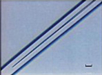 metalhm_06 metalhm_06