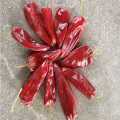 2020 Neue Ernte FDA Dry American Red Chilies