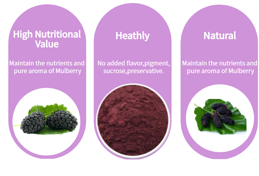 Mulberry Powder3 Mulberry Powder3