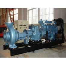 Diesel Powered Fire Pumps for Airport and Petrochemical and Power Plant