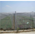 Insect Screen Wire  Netting