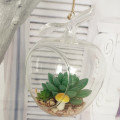 Wholesale Apple Shaped Glass Hanging Air Plant Terrarium