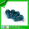 Torx Pan Head Sems Screw avec Flat Washer