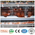 Jaula de pollo de capa con certificado ISO 9001