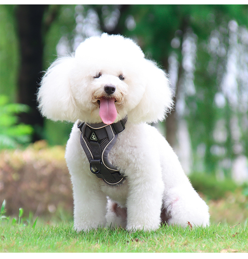Dog Harness And Leash Set Etsy Dog Harness And Leash Set Etsy