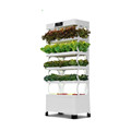 Hydroponic LED Torre vertical Garden Sistema hidropónico