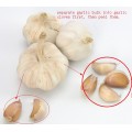 Ce Approved Garlic Clove Separator, Garlic Bulbs Extruding Machine, Garlic Cloves Squeeze Machine