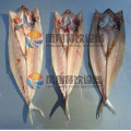 Fish Belly Operer Splitting Machine, Fish Fillet Processing Machine (CE certificated)